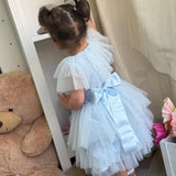 Abito Smanicato In Tulle Plissettato Neonata PETIT POSH 007VE