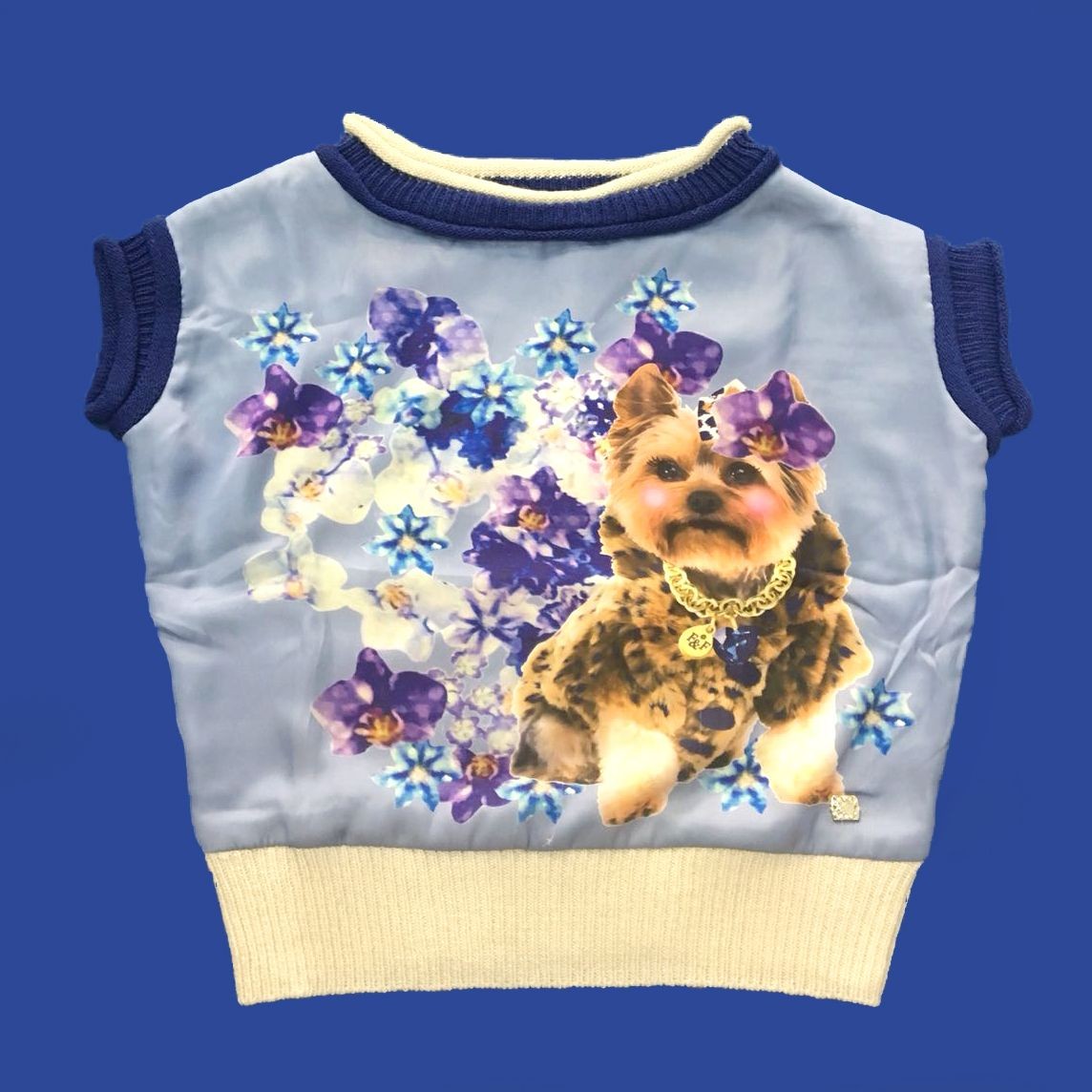 Maglioncino in Misto Lana con Stampa Cobalto Bambina Fun&Fun FUNBSW3331 - FUN&FUN - LuxuryKids