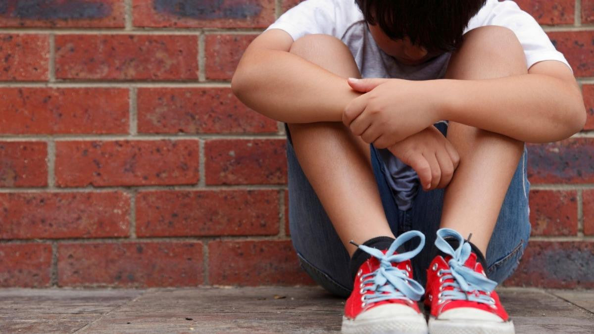 Bullismo e il cyberbullismo