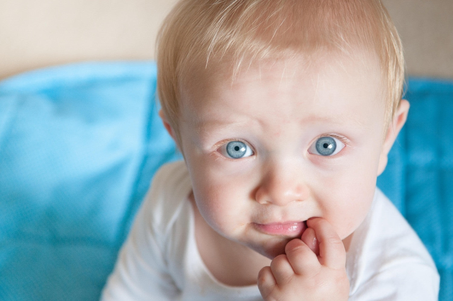 Nome per bambino: Michelangelo